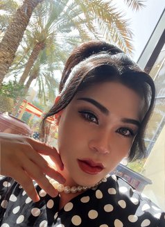 Gus’s Thawatchi - Transsexual escort in Al Manama Photo 11 of 12