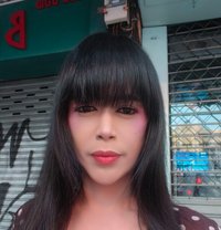 Lusty Linda 7.5 inch rod dom - Transsexual escort in Bangkok