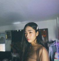 Gwen - Transsexual escort in Angeles City