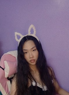 Gwen - Transsexual escort in Angeles City Photo 2 of 2