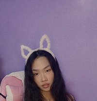 Gwen - Transsexual escort in Angeles City