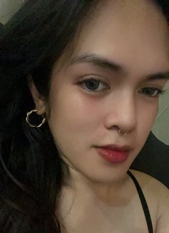 Gwen - Transsexual escort in Davao Photo 8 of 9