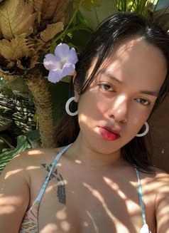Gwen - Transsexual escort in Davao Photo 9 of 9