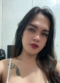 Gwen - Transsexual escort in Davao Photo 8 of 9