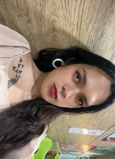 Gwen - Transsexual escort in Davao Photo 9 of 9