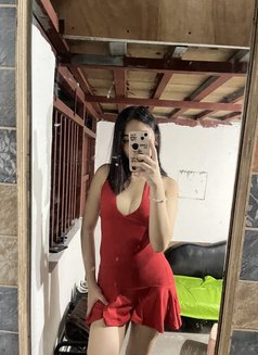 Gwyn in manila - Transsexual escort in Manila Photo 4 of 4