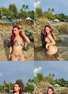 Gxstxx - Transsexual escort agency in Phuket Photo 11 of 13
