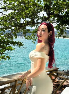 Gxstxx - Transsexual escort agency in Phuket Photo 12 of 13