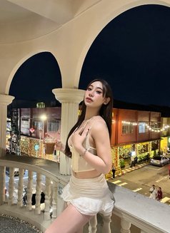 Gxstxx - Transsexual escort agency in Phuket Photo 13 of 13