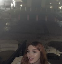 Haaayat Ts - Transsexual escort in Baku