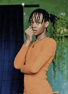 Habibi - Acompañantes transexual in Nairobi Photo 1 of 3