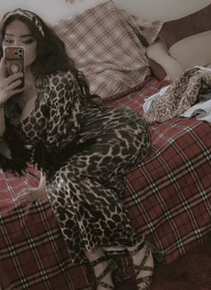 Hadeel Lattakia - Acompañantes transexual in Damascus Photo 9 of 11