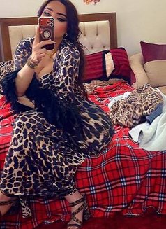 Hadeel Lattakia - Acompañantes transexual in Damascus Photo 11 of 11