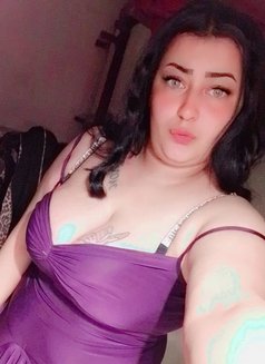 Hadir - escort in Alexandria Photo 17 of 18