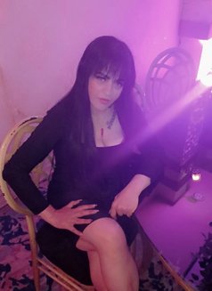 Hadir - escort in Alexandria Photo 18 of 18