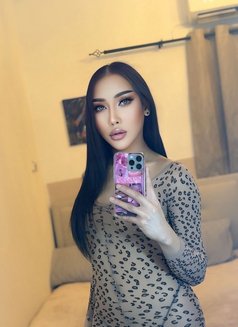 Hadir - Acompañantes transexual in Al Ain Photo 9 of 11