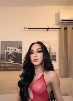 Hadir - Transsexual escort in Al Ain Photo 16 of 19