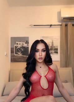 Hadir - Transsexual escort in Al Ain Photo 17 of 19