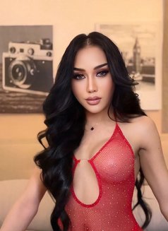 Hadir - Transsexual escort in Al Ain Photo 18 of 19