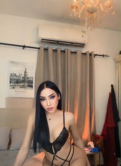 Hadir - Acompañantes transexual in Al Ain Photo 5 of 11