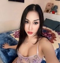 Hadir - Transsexual escort in Al Ain