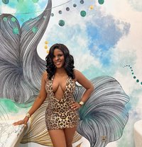 Hafsa 🇲🇺 GFE • Full Svc • 24/7 - escort in Abu Dhabi Photo 4 of 26