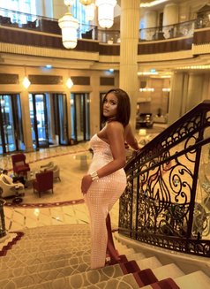 Hafsa_Massage Abu Dhabi - escort in Abu Dhabi Photo 17 of 19