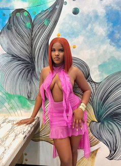 Hafsa - escort in Abu Dhabi Photo 1 of 4