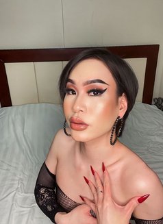 Haifa best rimming - Agencia de acompañantes transexuales in Phuket Photo 11 of 12