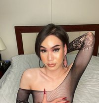 Haifa best rimming - Agencia de acompañantes transexuales in Phuket Photo 13 of 13