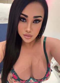 Haifa (Chubby) Big breasts and big butt. - Transsexual escort in Riyadh Photo 29 of 29