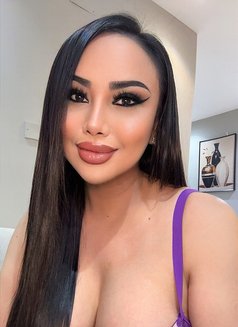 Haifa (Chubby) Big breasts and big butt. - Acompañantes transexual in Riyadh Photo 18 of 21