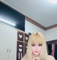 Haifa Fuck Riyadh - Acompañantes transexual in Riyadh