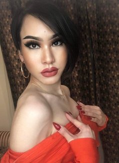 Haifa best rimming - Transsexual escort agency in Bangkok Photo 11 of 20