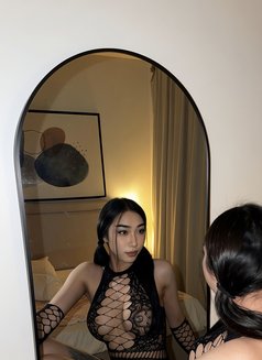 Haifa Ladyboy Hodg Dick in Riyadh🇹🇭 - Transsexual escort in Riyadh Photo 8 of 10
