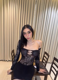 Haifa Ladyboy Hodg Dick in Riyadh🇹🇭 - Transsexual escort in Riyadh Photo 11 of 12