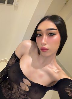 Haifa Ladyboy Hodg Dick in Riyadh🇹🇭 - Acompañantes transexual in Riyadh Photo 15 of 15