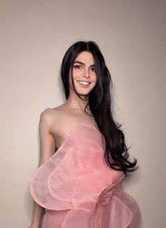 Haifa Lebanese Big Dick 🇱🇧 - Transsexual escort in Riyadh Photo 4 of 13