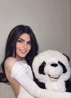Haifa Lebanese Big Dick 🇱🇧 - Transsexual escort in Riyadh Photo 11 of 13