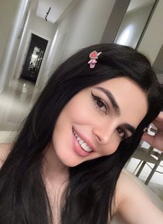 Haifa Lebanese Big Dick 🇱🇧 - Acompañantes transexual in Riyadh Photo 17 of 17