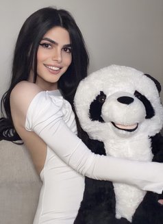 Haifa Lebanese Big Dick 🇱🇧 - Acompañantes transexual in Riyadh Photo 25 of 26