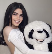 Haifa Lebanese Big Dick 🇱🇧 - Acompañantes transexual in Riyadh Photo 25 of 26