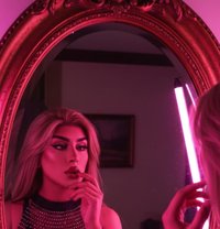 Haifa - Transsexual escort in Amman