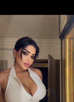 Haifa - escort in Riyadh Photo 15 of 17