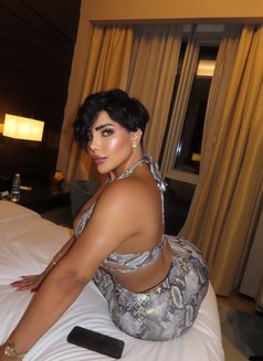 Haifa - escort in Riyadh Photo 17 of 17