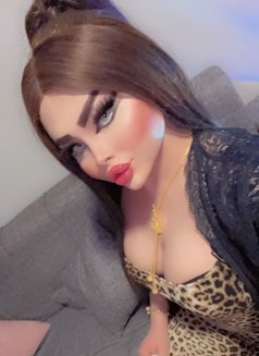 Haifa - Acompañantes transexual in Erbil Photo 2 of 10