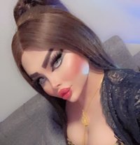 Haifa - Transsexual escort in Erbil