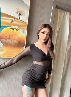 Haifa - Transsexual escort in Doha Photo 3 of 7