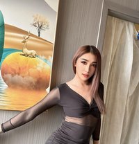 Haifa - Transsexual escort in Doha