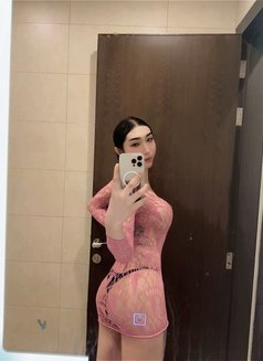 Haifa Ladyboy Hodg Dick in Riyadh🇹🇭 - Transsexual escort in Riyadh Photo 9 of 12